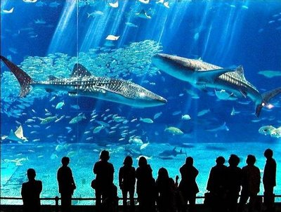 Barcelona-Aquarium